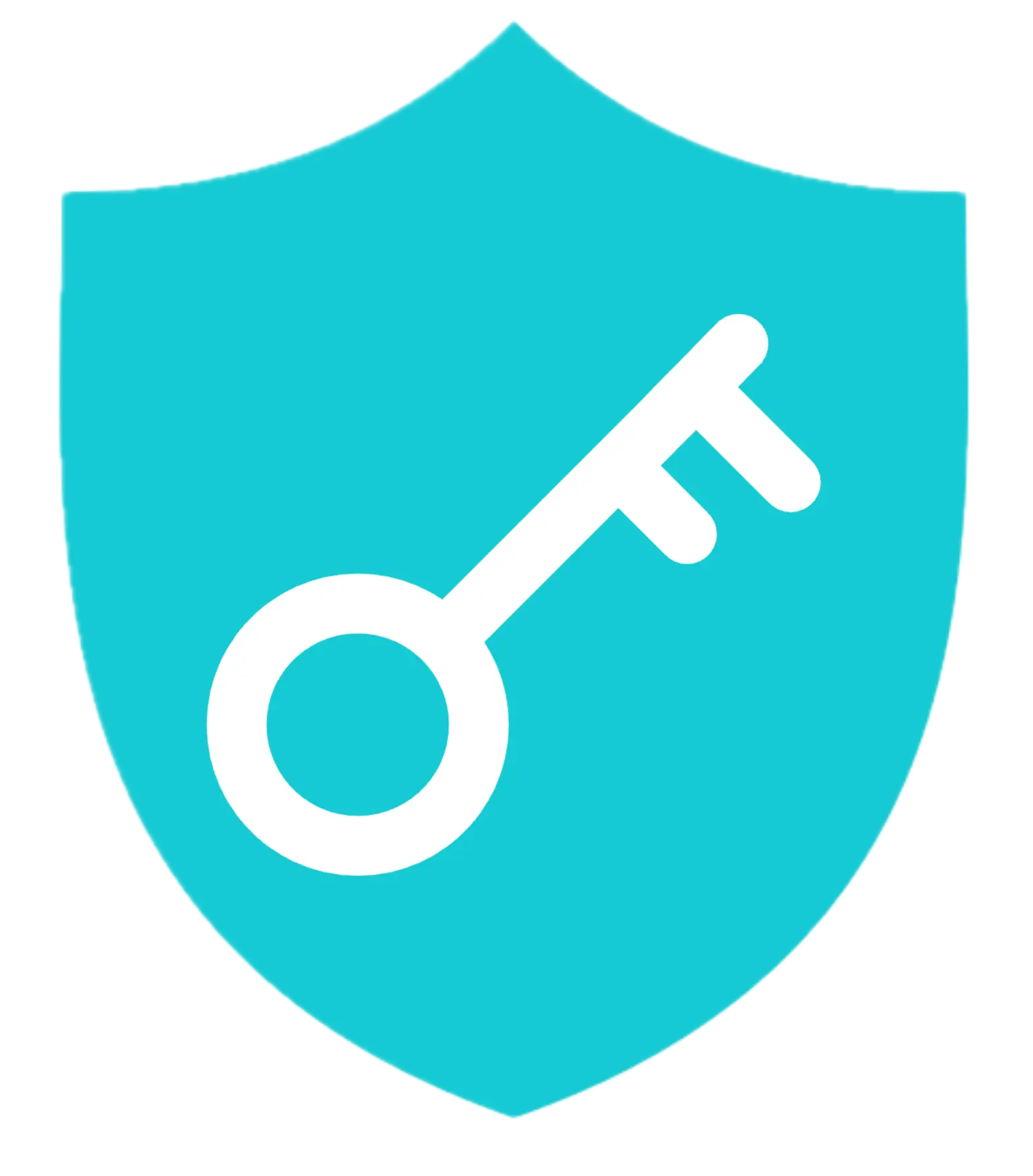 XapVPN logo